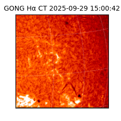 gong - 2025-09-29T15:00:42