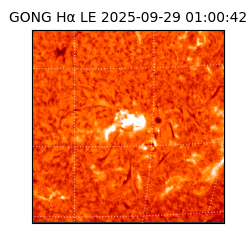 gong - 2025-09-29T01:00:42