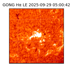 gong - 2025-09-29T05:00:42