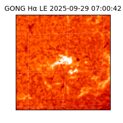 gong - 2025-09-29T07:00:42