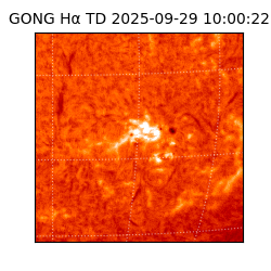 gong - 2025-09-29T10:00:22