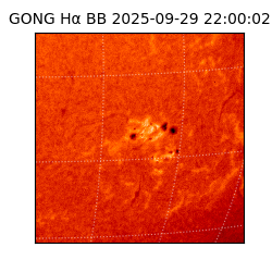 gong - 2025-09-29T22:00:02