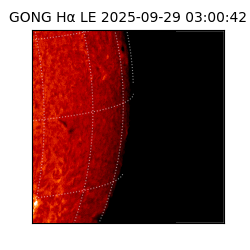 gong - 2025-09-29T03:00:42