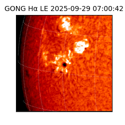 gong - 2025-09-29T07:00:42