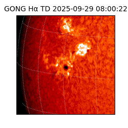 gong - 2025-09-29T08:00:22