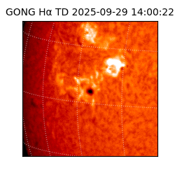 gong - 2025-09-29T14:00:22