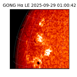 gong - 2025-09-29T01:00:42