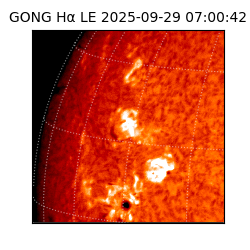 gong - 2025-09-29T07:00:42