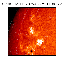 gong - 2025-09-29T11:00:22