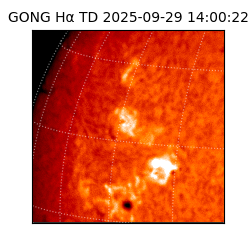 gong - 2025-09-29T14:00:22