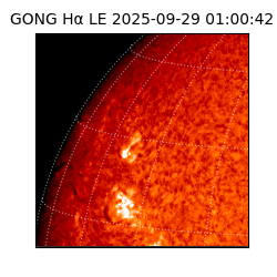 gong - 2025-09-29T01:00:42
