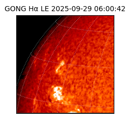 gong - 2025-09-29T06:00:42