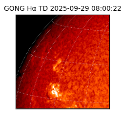 gong - 2025-09-29T08:00:22