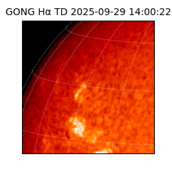 gong - 2025-09-29T14:00:22
