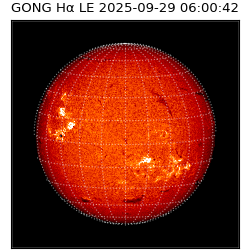gong - 2025-09-29T06:00:42