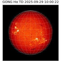 gong - 2025-09-29T10:00:22