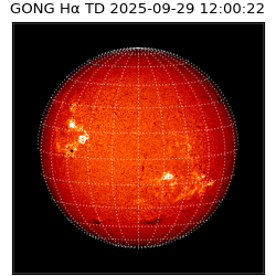 gong - 2025-09-29T12:00:22