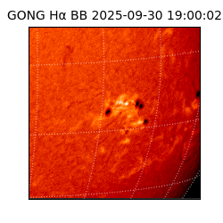 gong - 2025-09-30T19:00:02