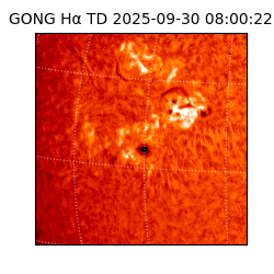 gong - 2025-09-30T08:00:22