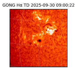 gong - 2025-09-30T09:00:22