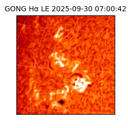 gong - 2025-09-30T07:00:42