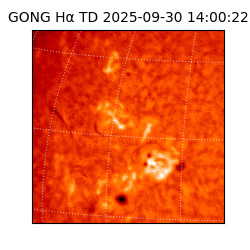 gong - 2025-09-30T14:00:22