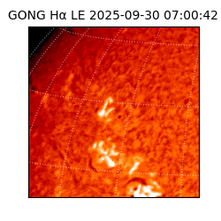 gong - 2025-09-30T07:00:42