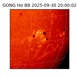 gong - 2025-09-30T20:00:02