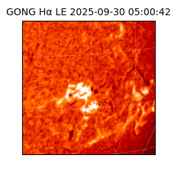 gong - 2025-09-30T05:00:42