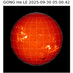 gong - 2025-09-30T05:00:42