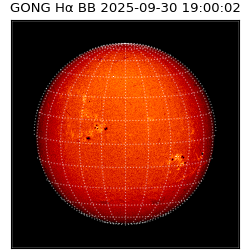 gong - 2025-09-30T19:00:02
