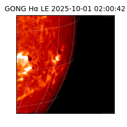 gong - 2025-10-01T02:00:42