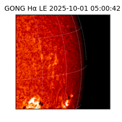 gong - 2025-10-01T05:00:42