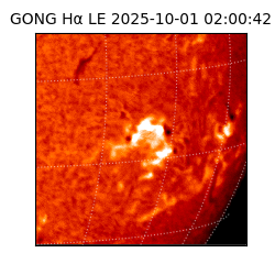 gong - 2025-10-01T02:00:42