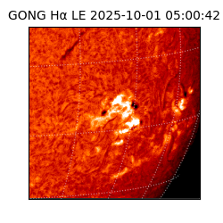 gong - 2025-10-01T05:00:42