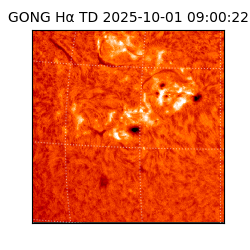 gong - 2025-10-01T09:00:22