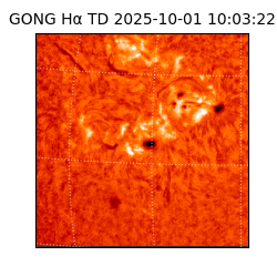gong - 2025-10-01T10:03:22