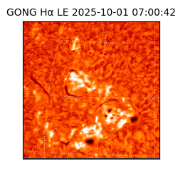 gong - 2025-10-01T07:00:42