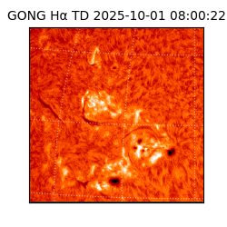 gong - 2025-10-01T08:00:22