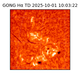 gong - 2025-10-01T10:03:22