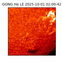 gong - 2025-10-01T02:00:42