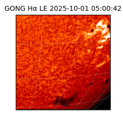 gong - 2025-10-01T05:00:42