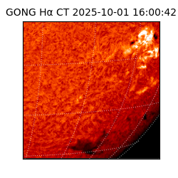 gong - 2025-10-01T16:00:42