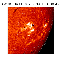 gong - 2025-10-01T04:00:42
