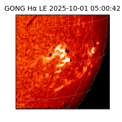 gong - 2025-10-01T05:00:42