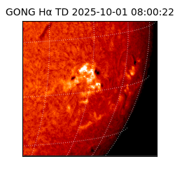 gong - 2025-10-01T08:00:22