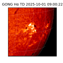 gong - 2025-10-01T09:00:22
