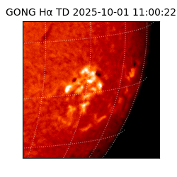 gong - 2025-10-01T11:00:22