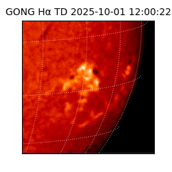 gong - 2025-10-01T12:00:22