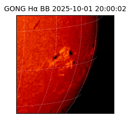 gong - 2025-10-01T20:00:02